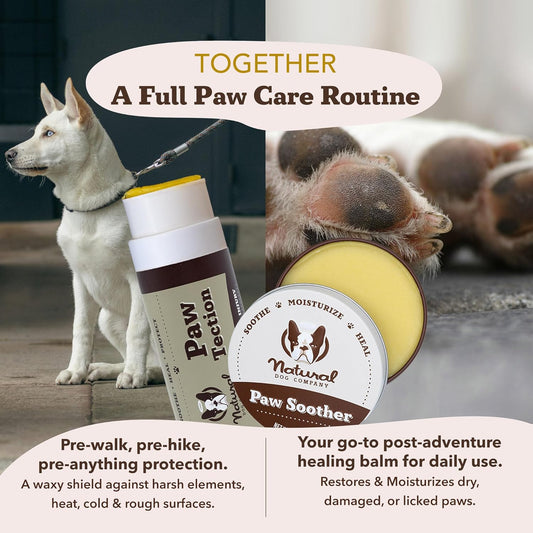 Pawtection Balm for Dogs, Dog Paw Protector, Moisturizing Dog Paw Balm for Dry, Cracked Pad, Protects Paw from Extreme Weather, Paw Lotion for Allergies & Itching (1 Oz Tin)