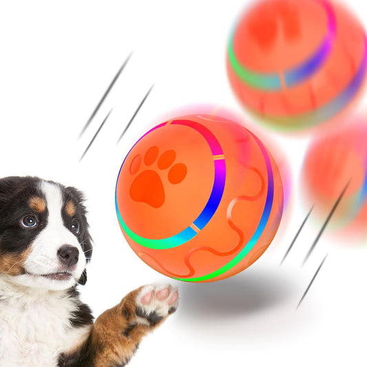 Pet Automatic Orange Toy Ball