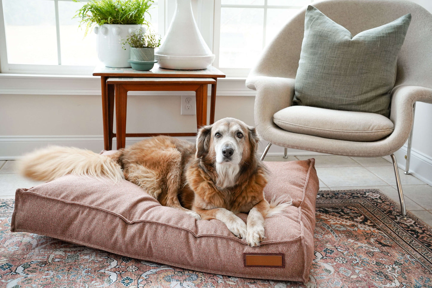 Lounger Pet Bed in Pittie Pink